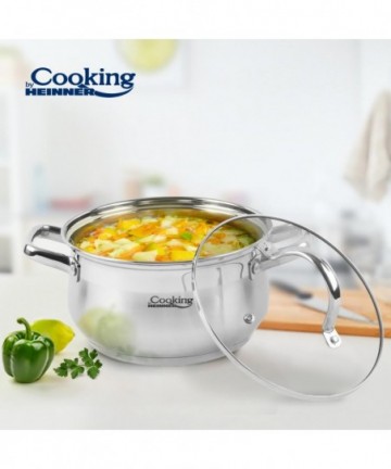 Stainless steel pot+lid 22...